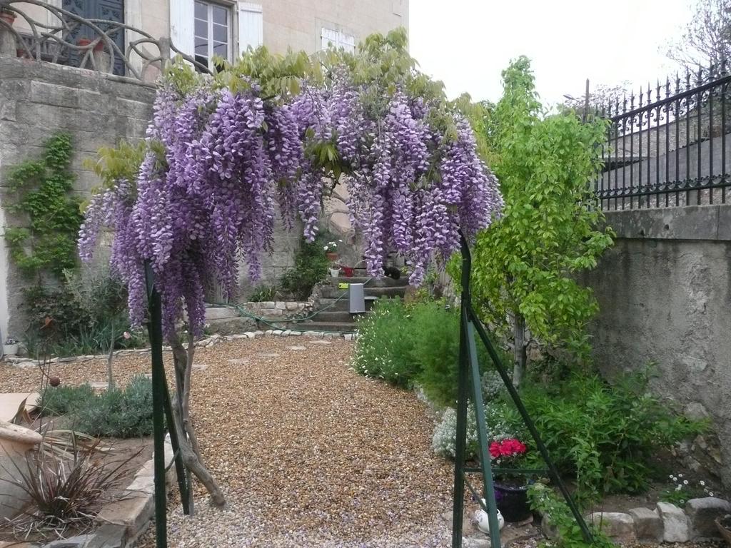 Clos Du Magnolia Causses-et-Veyran Kamer foto